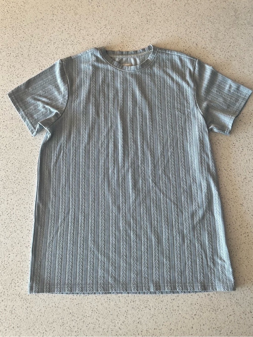 NWOT Men's Crew Neck Short Sleeve Shirt in Sky Blue